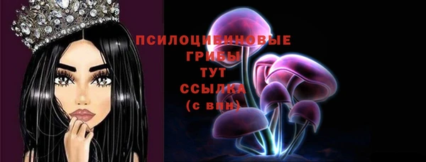 бошки Армянск